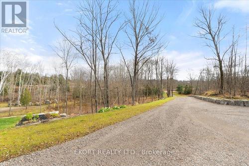 2223 Cooper Road, Madoc, ON - Outdoor With View