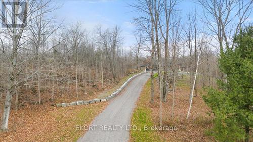 2223 Cooper Road, Madoc, ON - Outdoor With View