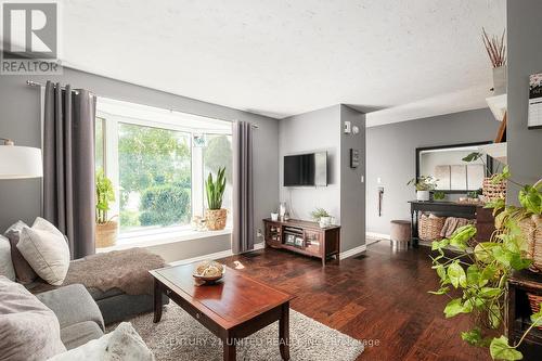 241 Woodward Avenue, Smith-Ennismore-Lakefield, ON - Indoor Photo Showing Living Room