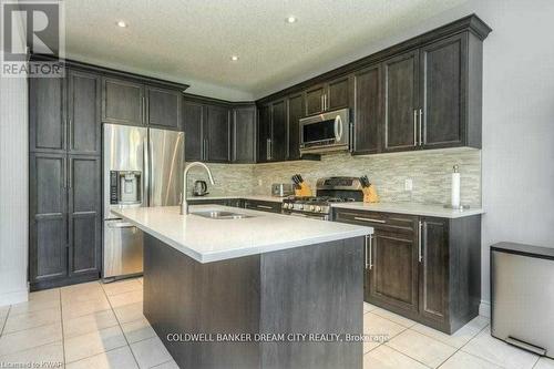 235 Birkinshaw Road, Cambridge, ON - Indoor Photo Showing Kitchen With Double Sink With Upgraded Kitchen