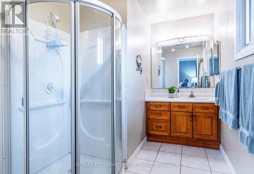 19 Isabel Drive, Brantford, ON - Indoor Photo Showing Bathroom