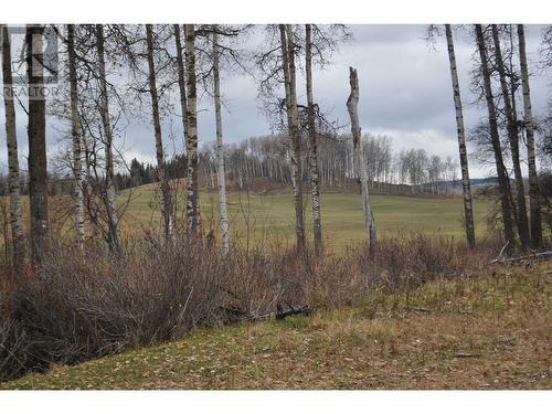 14424 Round Lake Road, Smithers, BC - Outdoor With View