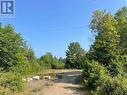 View of road - 4155 Highway 17, Mattawa, ON 