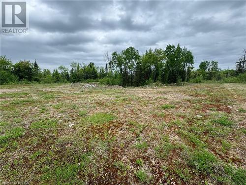 View of local wilderness - 4155 Highway 17, Mattawa, ON 