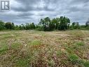 View of local wilderness - 4155 Highway 17, Mattawa, ON 