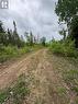 View of local wilderness - 4155 Highway 17, Mattawa, ON 