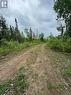 View of road - 4155 Highway 17, Mattawa, ON 