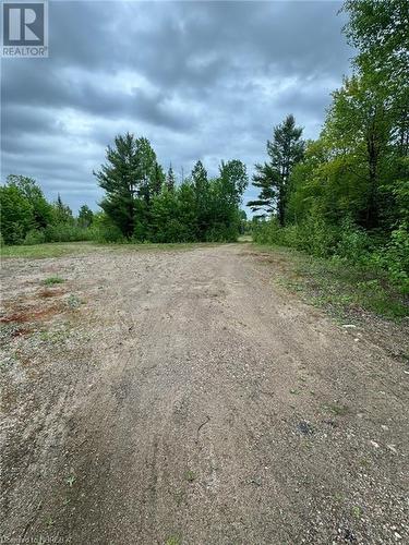 View of street - 4155 Highway 17, Mattawa, ON 