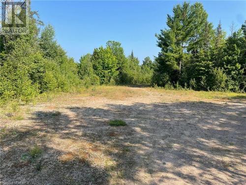 View of landscape - 4155 Highway 17, Mattawa, ON 