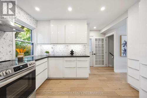 769 Sutherland Avenue, Newmarket, ON - Indoor Photo Showing Kitchen With Upgraded Kitchen