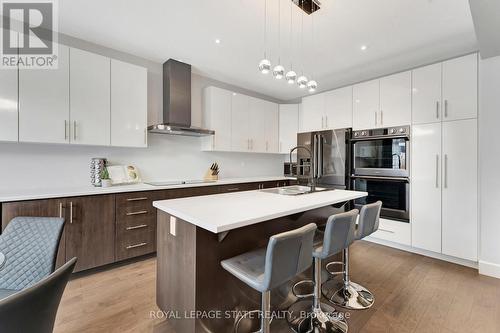 44 Fairgrounds Drive, Hamilton, ON - Indoor Photo Showing Kitchen With Stainless Steel Kitchen With Upgraded Kitchen