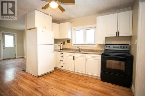 523 Brunswick, Sault Ste. Marie, ON - Indoor Photo Showing Kitchen With Double Sink