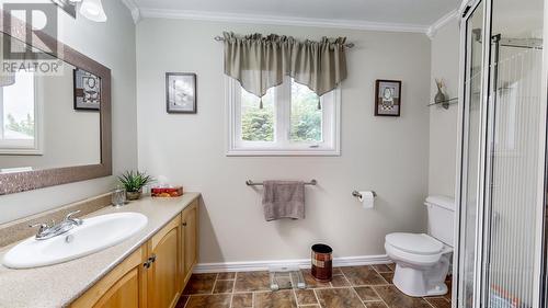 10 Robin'S Pond Hill Road, Torbay, NL - Indoor Photo Showing Bathroom