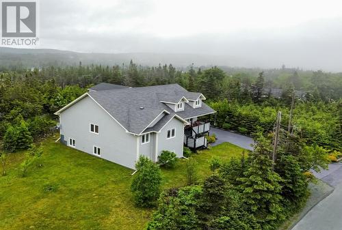 10 Robin'S Pond Hill Road, Torbay, NL - Outdoor With View