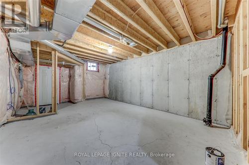 90 Christian Ritter Drive, Markham, ON - Indoor Photo Showing Basement