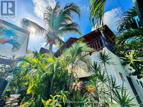 Casa Guadalupe, Mexico, ON - Outdoor