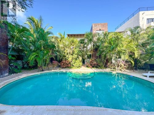 Casa Guadalupe, Mexico, ON - Outdoor With In Ground Pool With Backyard