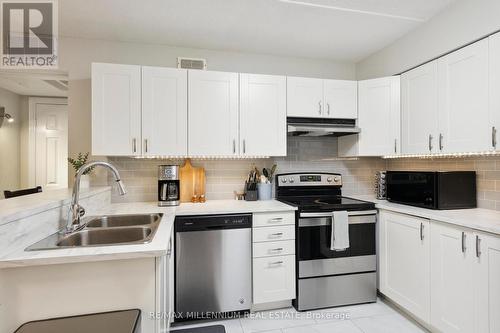 119 - 2030 Cleaver Avenue, Burlington, ON - Indoor Photo Showing Kitchen With Stainless Steel Kitchen With Double Sink