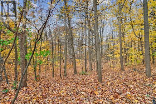 119 - 2030 Cleaver Avenue, Burlington, ON - Outdoor With View