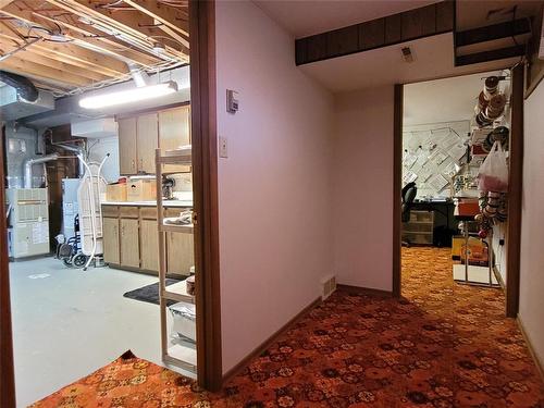 111 Wilkinson Crescent, Portage La Prairie, MB - Indoor Photo Showing Basement