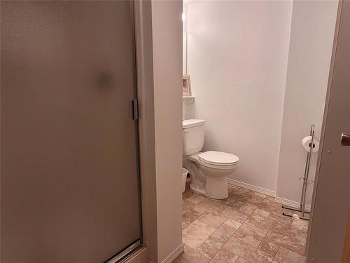 111 Wilkinson Crescent, Portage La Prairie, MB - Indoor Photo Showing Bathroom