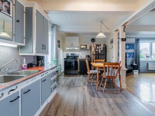 Cuisine - 1480 Rg St-Philippe, Saint-Anselme, QC - Indoor Photo Showing Kitchen With Double Sink