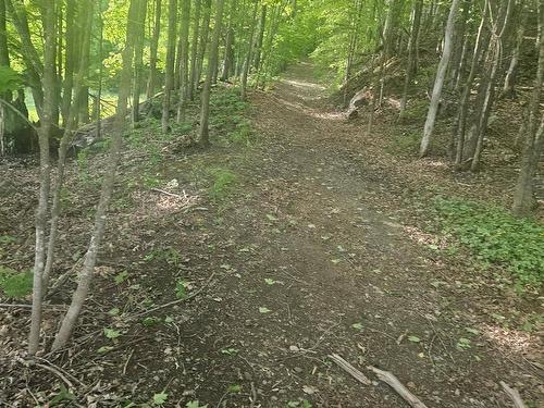 Land/Lot - Rue De La Vallée, Sainte-Adèle, QC 