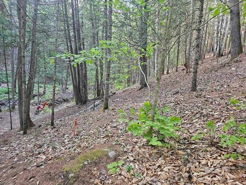 Land/Lot - Rue De La Vallée, Sainte-Adèle, QC 