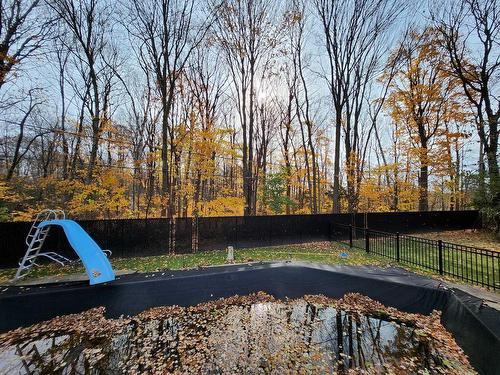 Piscine - 860 Rue Bazinet, Sainte-Thérèse, QC - Outdoor