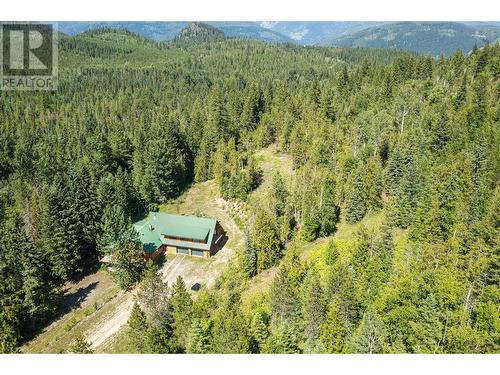 8240 Loakin Bear Creek Road, Chase, BC - Outdoor With View