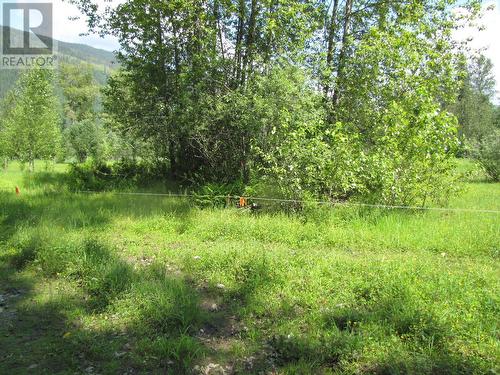 3793 Sommerville-Husted Road, Malakwa, BC 