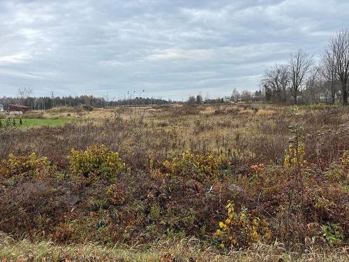 Overall view - Mtée Hall, Brownsburg-Chatham, QC 