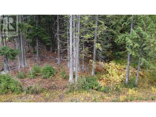 206 Cedar Creek Place Lot# Sl 9, Rossland, BC 