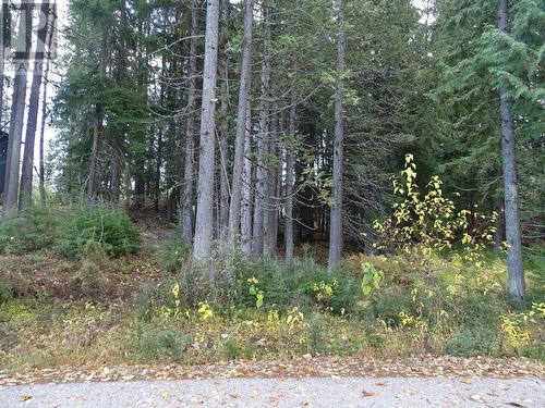 206 Cedar Creek Place Lot# Sl 9, Rossland, BC 