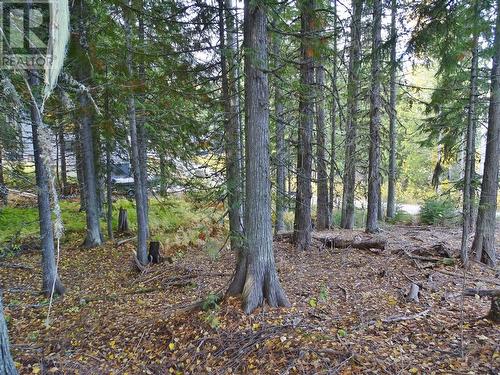 206 Cedar Creek Place Lot# Sl 9, Rossland, BC 