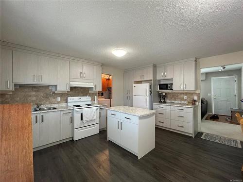 3705 14Th Ave, Port Alberni, BC - Indoor Photo Showing Kitchen