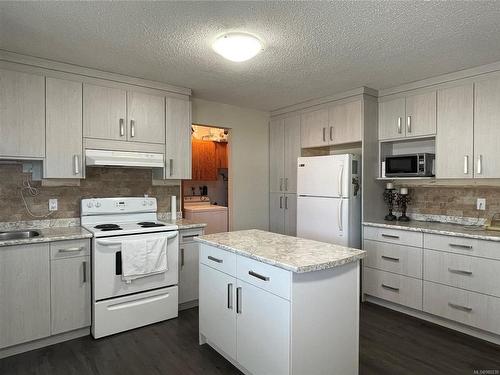 3705 14Th Ave, Port Alberni, BC - Indoor Photo Showing Kitchen