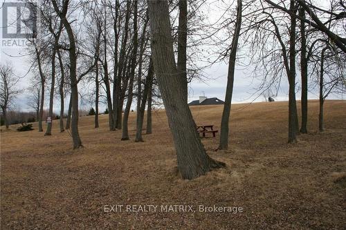 337 Domaine Road, Alfred & Plantagenet, ON - Outdoor With View