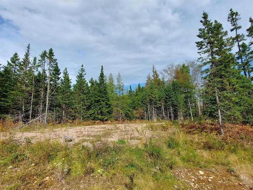 Lot 7 Lower River Rd, Cleveland, NS 