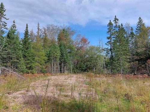 Lot 7 Lower River Rd, Cleveland, NS 