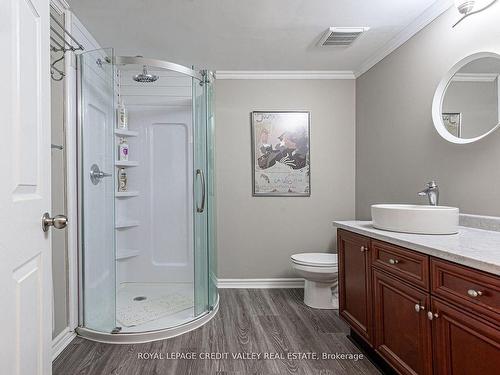 1460 Bancroft Dr, Mississauga, ON - Indoor Photo Showing Bathroom