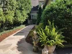 Pathway to front door - 