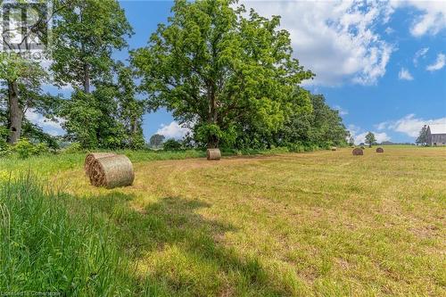 1329 Brant Highway 54, Caledonia, ON - Outdoor With View