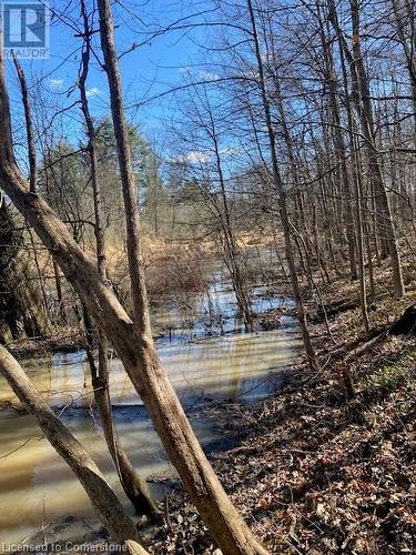 Fairchild creek at back of our property. - 120 Pauline Johnson Road, Caledonia, ON - Outdoor With View