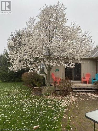 Aaaahhh. - 120 Pauline Johnson Road, Caledonia, ON - Outdoor