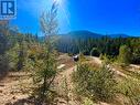 5975 Paradise Valley Road, Winlaw, BC 