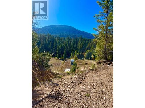 5975 Paradise Valley Road, Winlaw, BC 