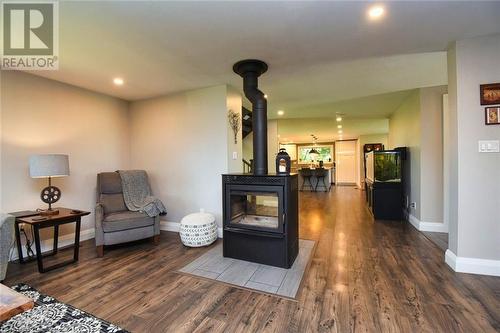 1620 Regional Rd 9 Road, Caledonia, ON - Indoor Photo Showing Living Room With Fireplace