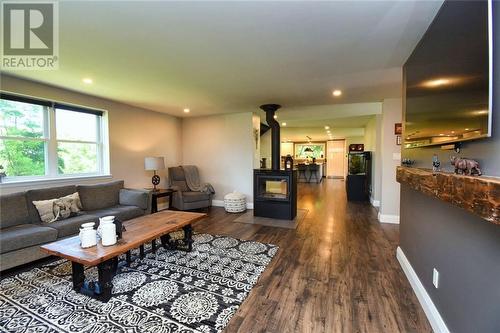 1620 Regional Rd 9 Road, Caledonia, ON - Indoor Photo Showing Living Room With Fireplace