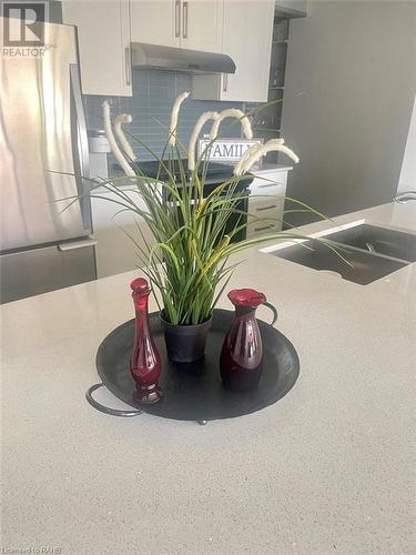 181 James Street N Unit# 609, Hamilton, ON - Indoor Photo Showing Kitchen With Double Sink